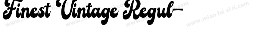 Finest Vintage Regul字体转换
